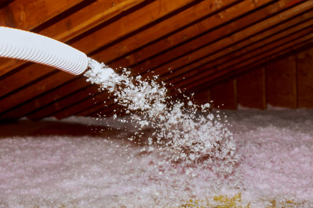 Best Specialized Insulation Services in Chatsworth, IL