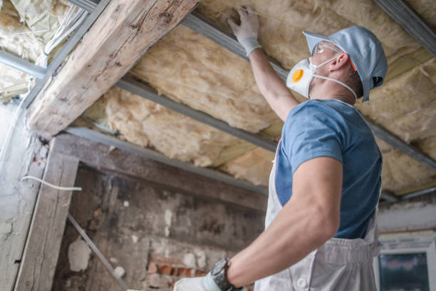 Best Insulation for Specific Applications in Chatsworth, IL