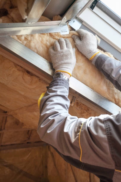 Best Commercial Insulation in Chatsworth, IL